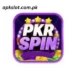 Pkrspin Game